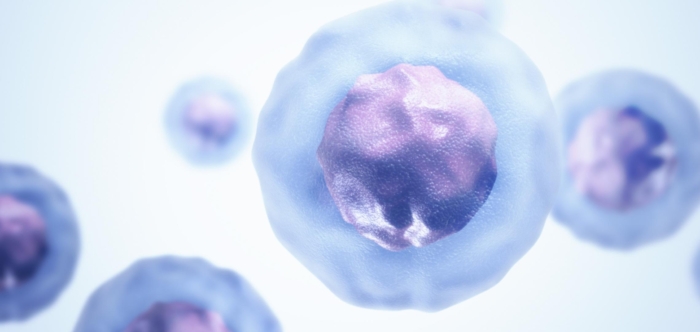 Research Spotlight – Immunity Response